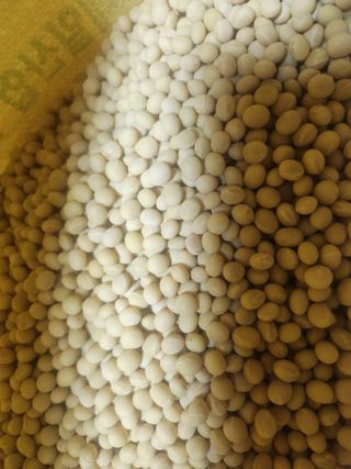 새싹농장님의 자유주제 · 자유게시판 작성글 사진