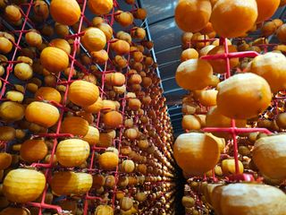 백용기님의 자유주제 · 자유게시판 작성글 사진