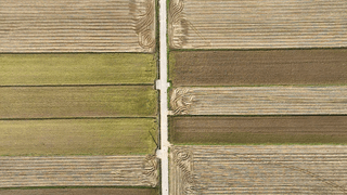 누보농장님의 자유주제 · 자유게시판 작성글 사진