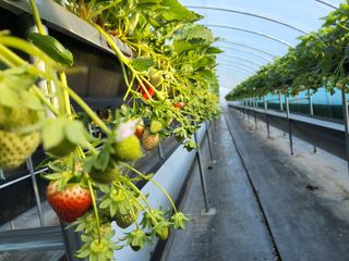 정수광님의 자유주제 · 사진전 작성글 사진