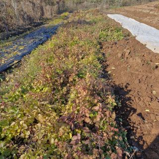 김영준님의 자유주제 · 자유게시판 작성글 사진