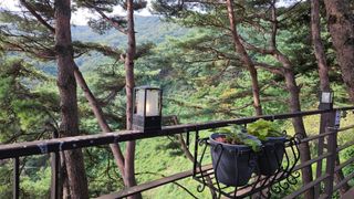 모니카님의 작성글 사진