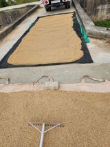 팜모닝 · 게시글 이미지