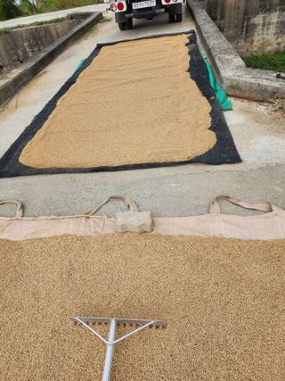  청계유정란 박진균님의 작성글 사진