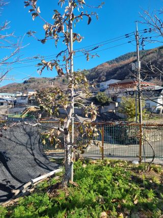 김용대님의 자유주제 · 자유게시판 작성글 사진