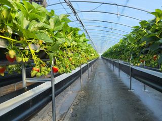 정수광님의 자유주제 · 사진전 작성글 사진