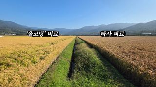 누보농장님의 자유주제 · 자유게시판 작성글 사진