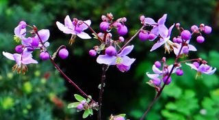 고추건조기부품판매님의 자유주제 · 자유게시판 작성글 사진