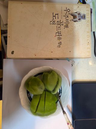 노고단님의 자유주제 · 자유게시판 작성글 사진