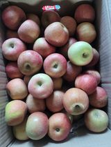 팜모닝 · 게시글 이미지