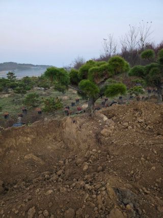 작은소나무님의 자유주제 · 사진전 작성글 사진