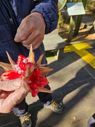 제주 지안이네농장님의 자유주제 · 자유게시판 작성글 사진