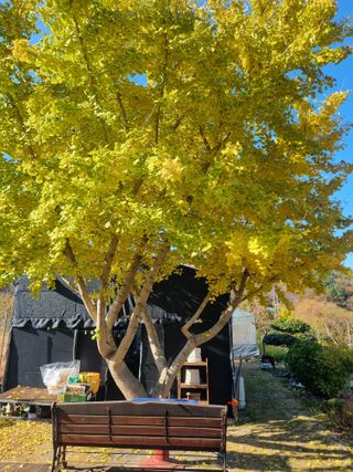 양영모님의 자유주제 · 자유게시판 작성글 사진