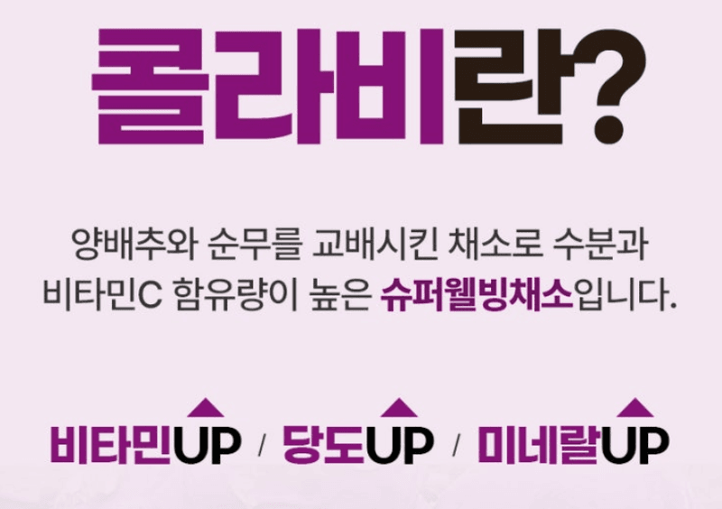 스피드번님의 장터 판매 상품 [제주 프리미엄 콜라비] 첨부 사진