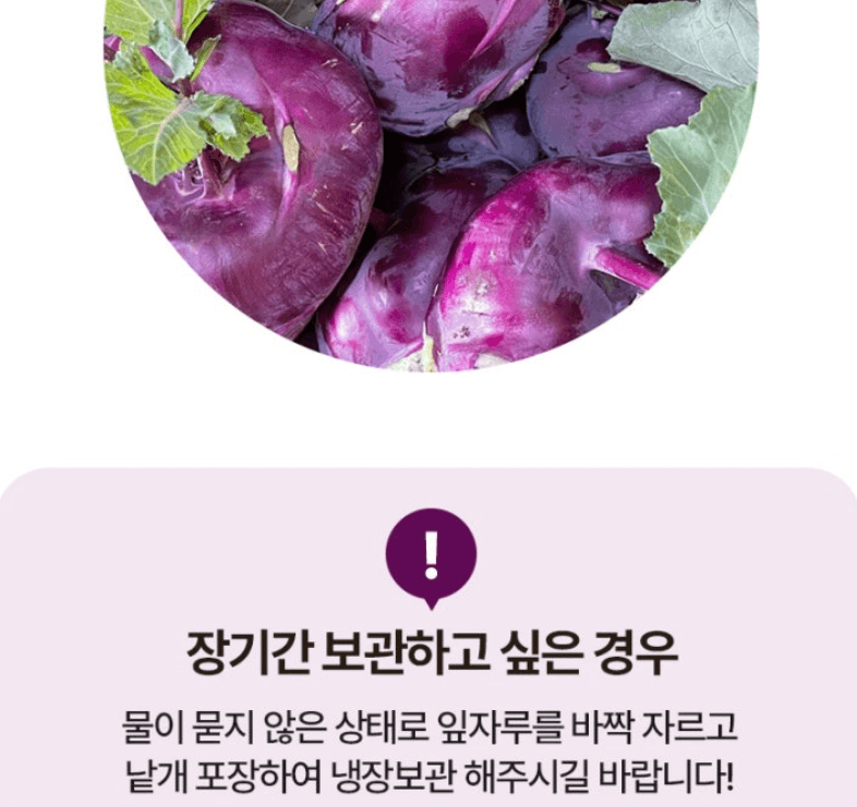 스피드번님의 장터 판매 상품 [제주 프리미엄 콜라비] 첨부 사진