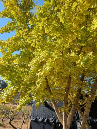 양영모님의 자유주제 · 자유게시판 작성글 사진