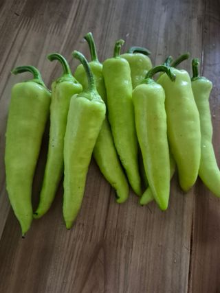 귤19190님의 작성글 사진