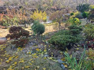 양영모님의 자유주제 · 자유게시판 작성글 사진