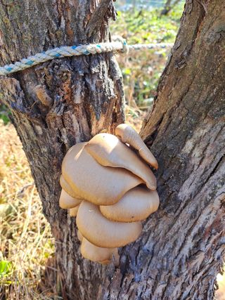 낙엽교목류21908님의 자유주제 · 자유게시판 작성글 사진