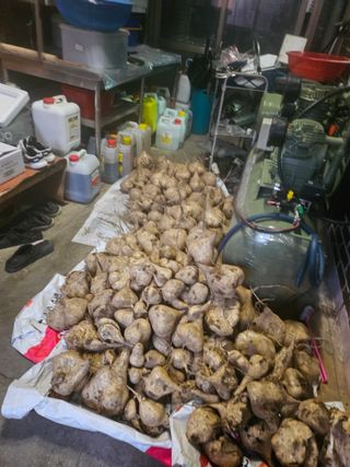 김석중님의 자유주제 · 자유게시판 작성글 사진