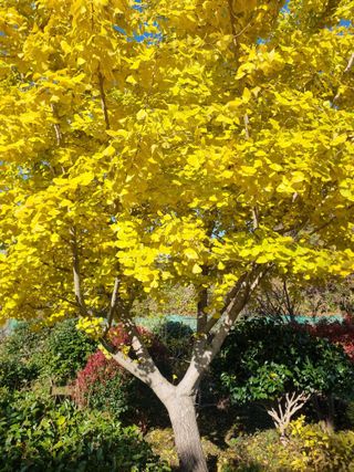 양영모님의 자유주제 · 자유게시판 작성글 사진