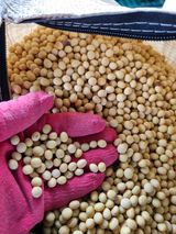 팜모닝 · 게시글 이미지