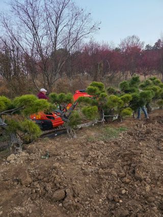 작은소나무님의 자유주제 · 사진전 작성글 사진
