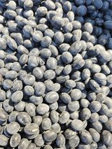 팜모닝 자유주제·자유게시판 게시글 이미지