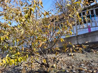 김용대님의 자유주제 · 자유게시판 작성글 사진