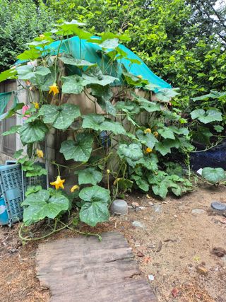 귤19190님의 작성글 사진