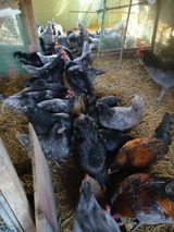 팜모닝 · 게시글 이미지