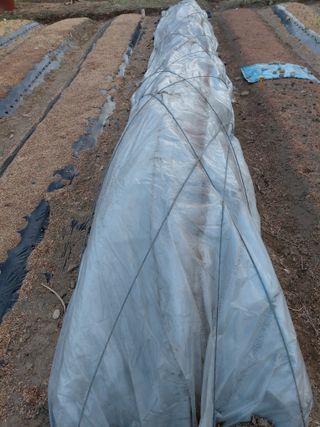 정보센터님의 자유주제 · 자유게시판 작성글 사진