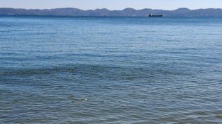 철남 김희곤님의 자유주제 · 자유게시판 작성글 사진