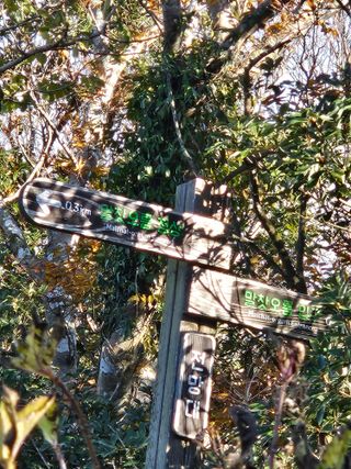 제주 지안이네농장님의 자유주제 · 자유게시판 작성글 사진