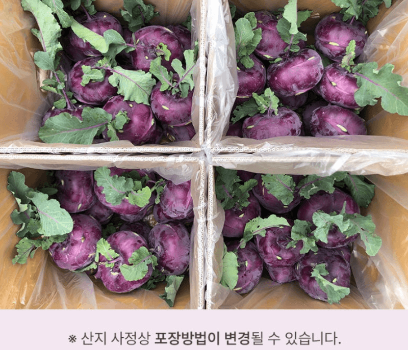 스피드번님의 장터 판매 상품 [제주 프리미엄 콜라비] 첨부 사진