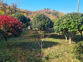 양영모님의 자유주제 · 자유게시판 작성글 사진