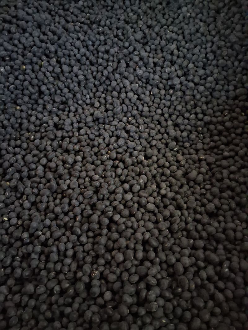 장터 상품 [새바람 서리테콩] 썸네일