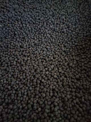 맞춤포도 드론방제님의 작성글 사진