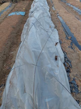 정보센터님의 자유주제 · 자유게시판 작성글 사진