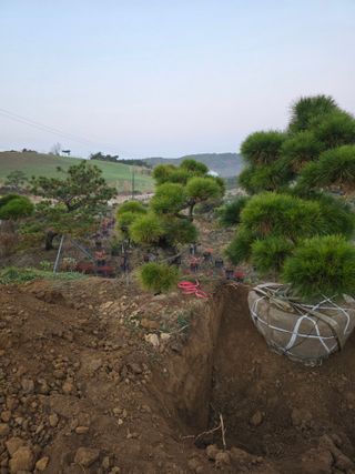 작은소나무님의 자유주제 · 사진전 작성글 사진