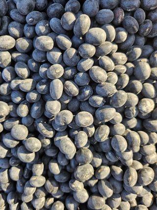 녹우농장님의 자유주제 · 자유게시판 작성글 사진