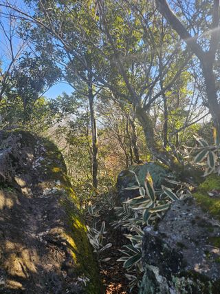 제주 지안이네농장님의 자유주제 · 자유게시판 작성글 사진