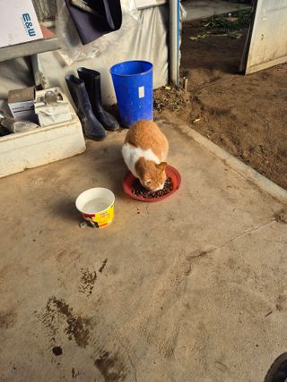 허굴산농장님의 자유주제 · 자유게시판 작성글 사진