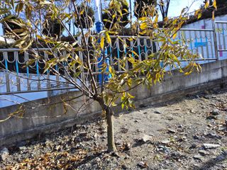 김용대님의 자유주제 · 자유게시판 작성글 사진