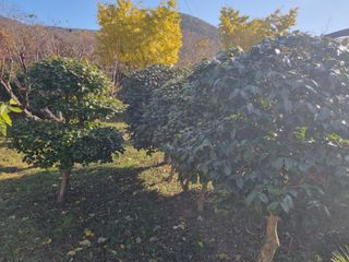 양영모님의 자유주제 · 자유게시판 작성글 사진