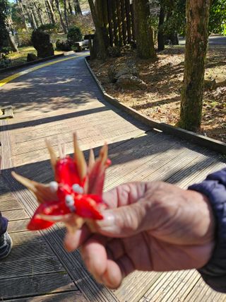 제주 지안이네농장님의 자유주제 · 자유게시판 작성글 사진