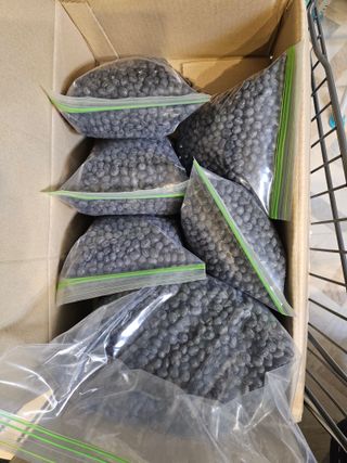 녹우농장님의 자유주제 · 자유게시판 작성글 사진