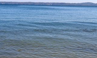 철남 김희곤님의 자유주제 · 자유게시판 작성글 사진