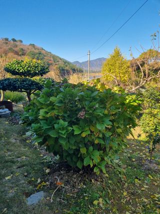 양영모님의 자유주제 · 자유게시판 작성글 사진