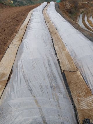 정금천님의 자유주제 · 자유게시판 작성글 사진